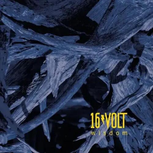 16 Volt - Wisdom