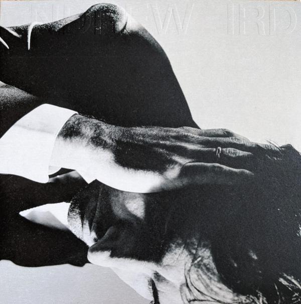 Andrew Bird - Inside Problems