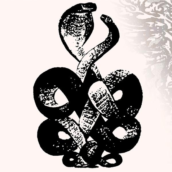 Bardo Pond - Volumes 4 & 5