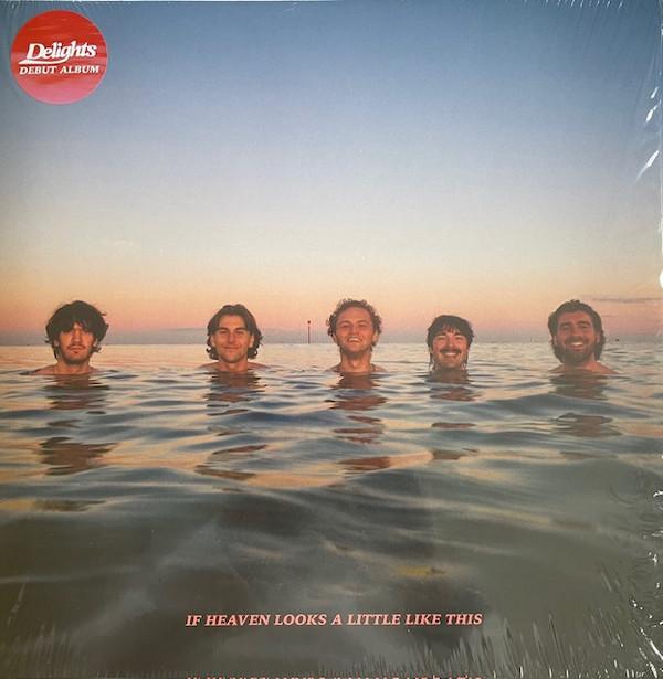 Delights - If Heaven Looks A Little Like This 