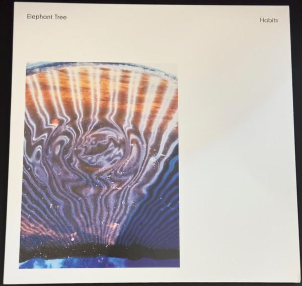 Elephant Tree - Habits