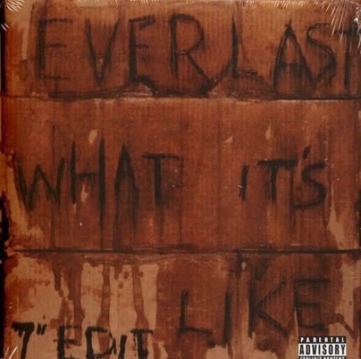 Everlast - What It's Like / Ends