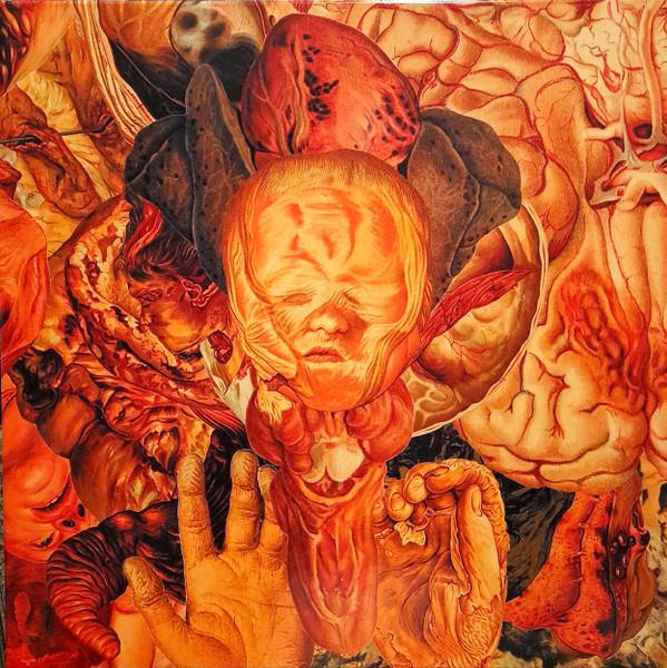 FesterDecay - Reality Rotten To The Core