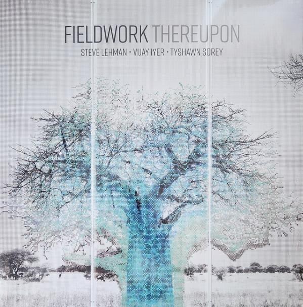 Fieldwork - Thereupon