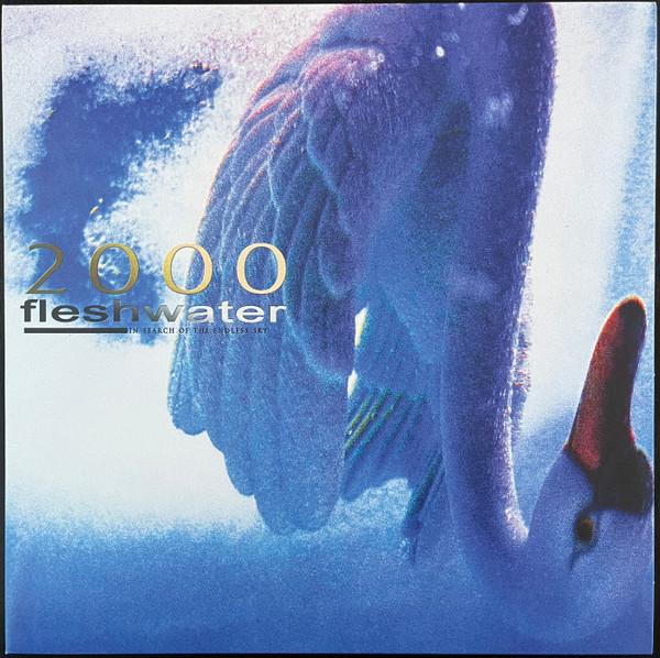 Fleshwater - 2000: In Search Of Endless Sky