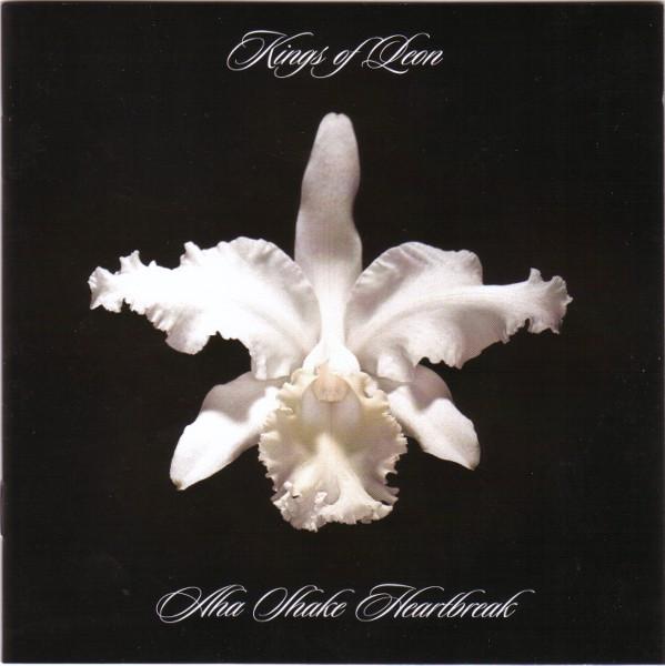 Kings Of Leon - Aha Shake Heartbreak