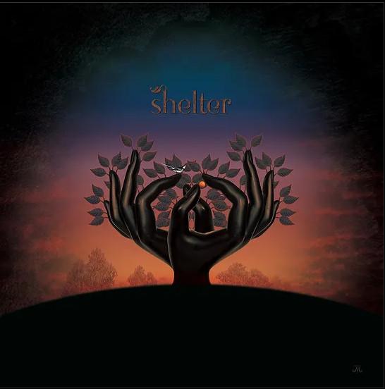 Laughing Stock (5) - Shelter