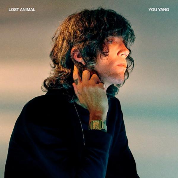 Lost Animal - You Yang