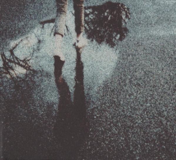 Sadness  - April Sunset