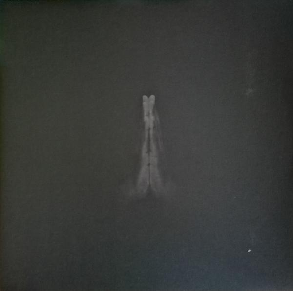 Sault - Untitled (Rise)