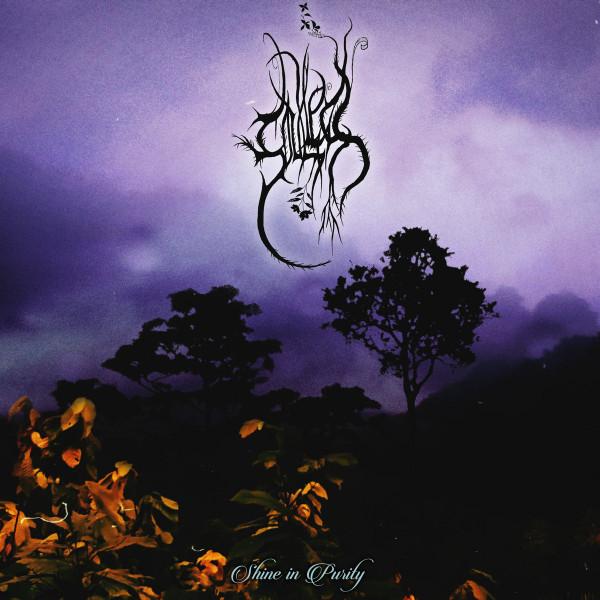 Soulless (13) - Shine In Purity