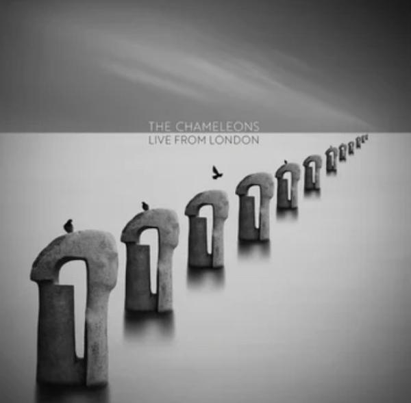 The Chameleons - Live From London