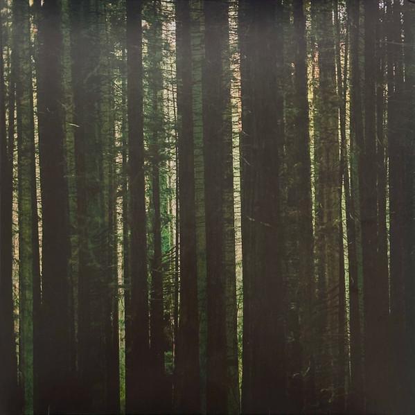 The Paper Kites - Evergreen