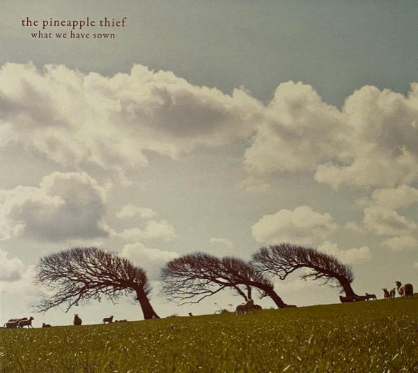 The Pineapple Thief - What We Have Sown