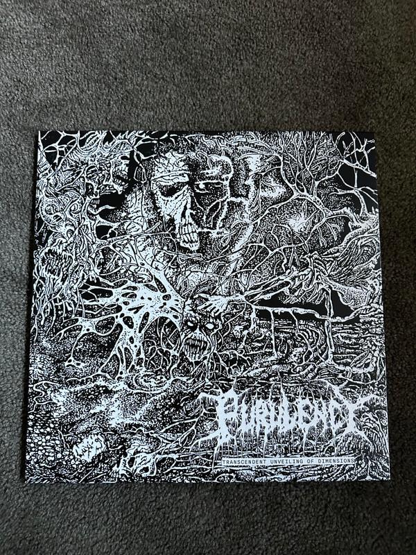  - Transcendent Unveiling of Dimensions