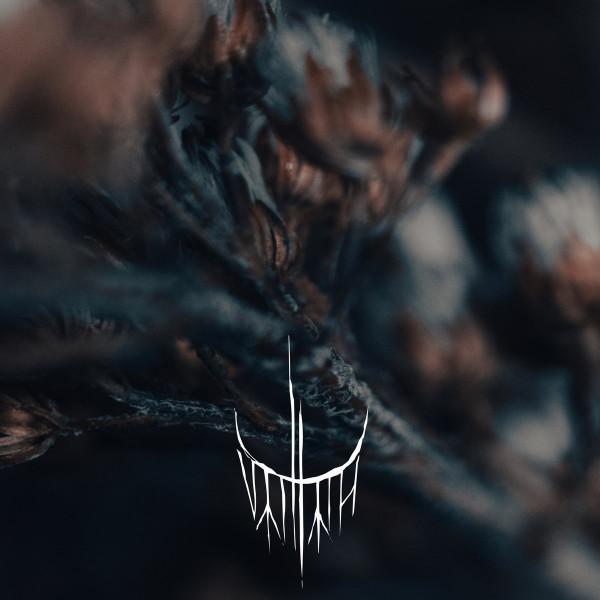 Varhara - Первый вздох после