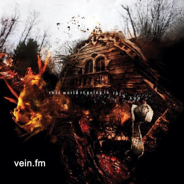 Vein (14) - This World Is Going To Ruin You