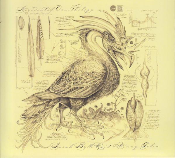 Vinny Golia, Sarah Belle Reid - Accidental Ornithology