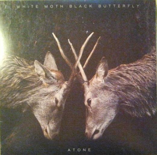 White Moth Black Butterfly - Atone